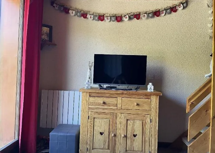 Duplex Les 2 Alpes Les Deux Alpes